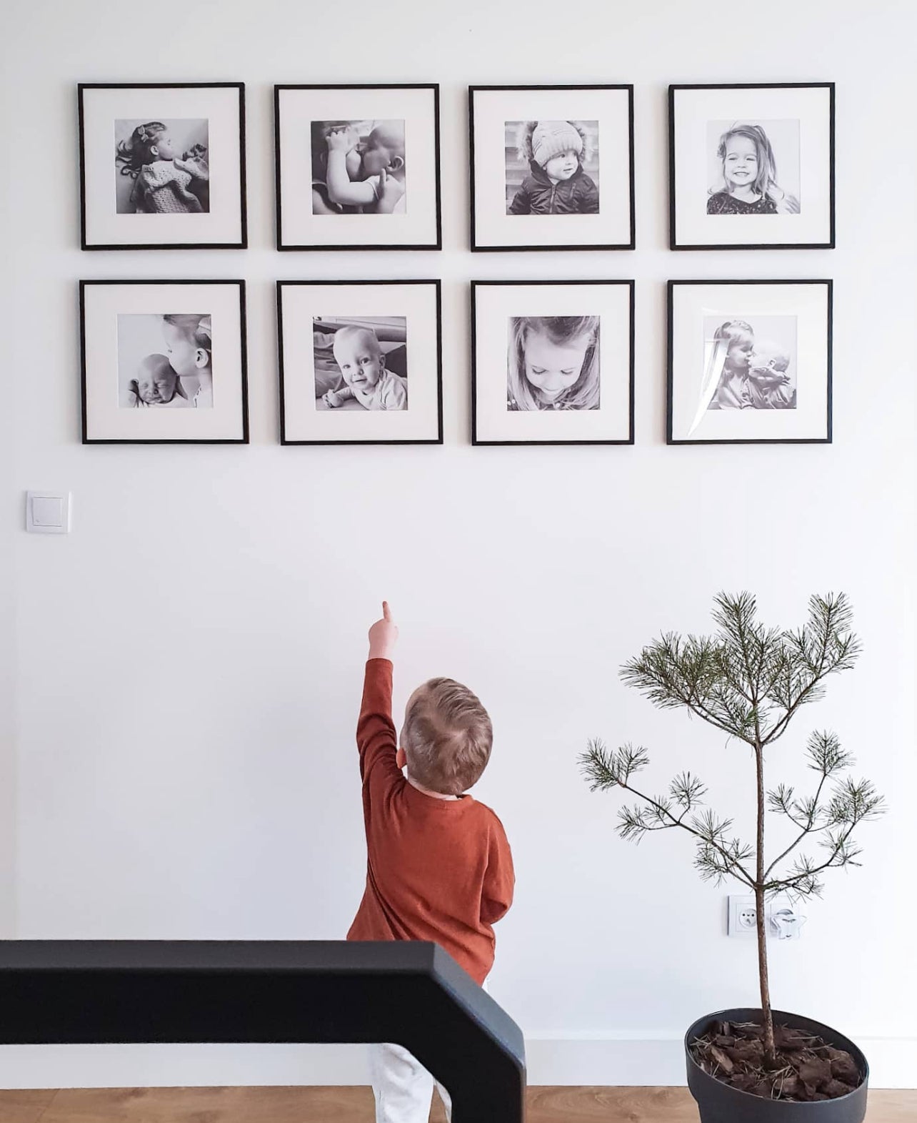 Fotografías en Pared